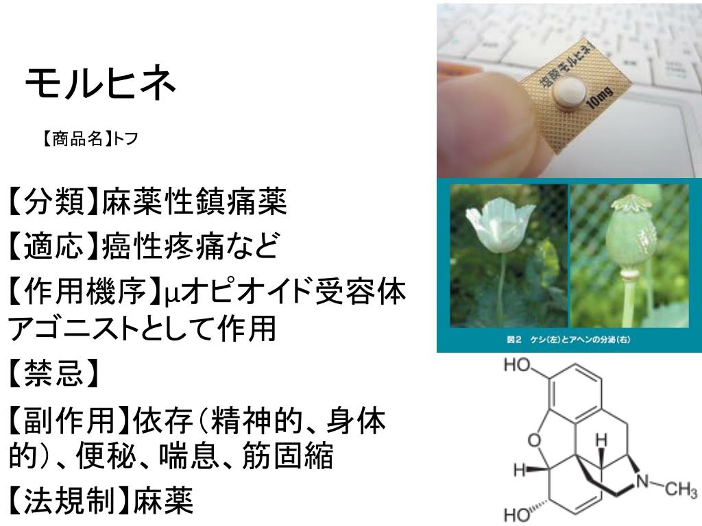 Ppt 御薬辞典2 Powerpoint Presentation Free Download Id Ppt 御薬辞典2 Powerpoint Presentation Free Download Id