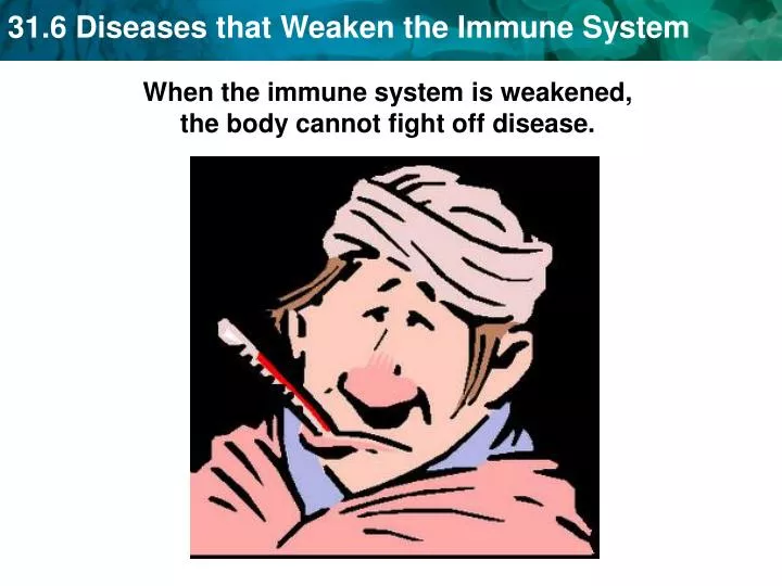 slide1 n.