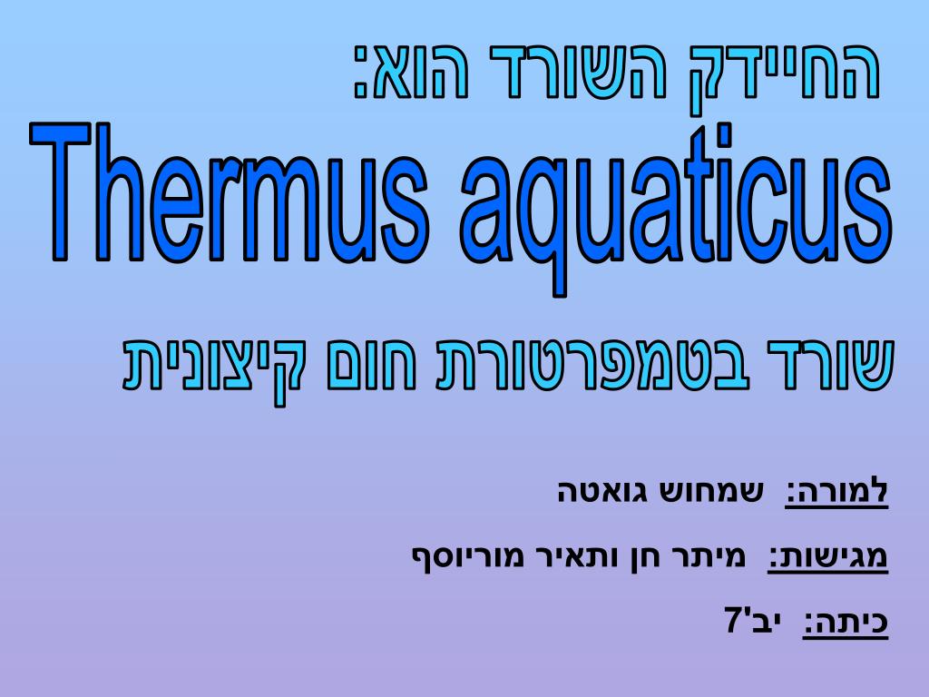 PPT Thermus aquaticus PowerPoint Presentation, free download ID6062420
