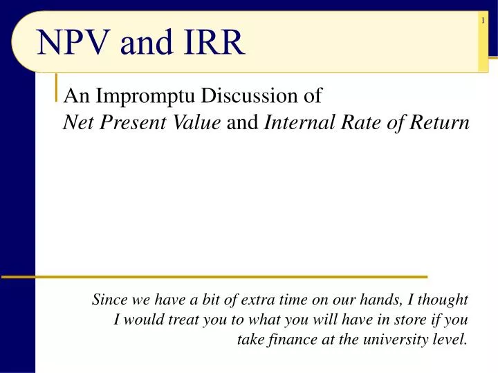 npv and irr n.