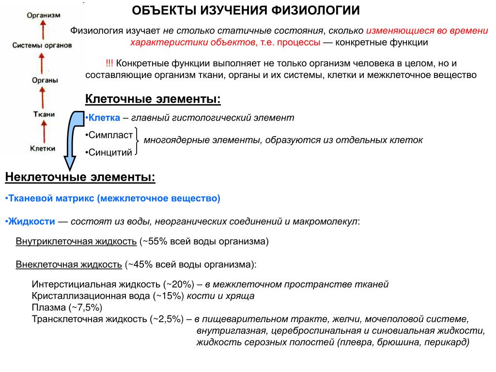 Физиология изучает работу органов. Объект изучения физиологии. Предмет исследования физиологии. Объект и методы исследования в физиологии. Предмет задачи и методы исследования физиологии.