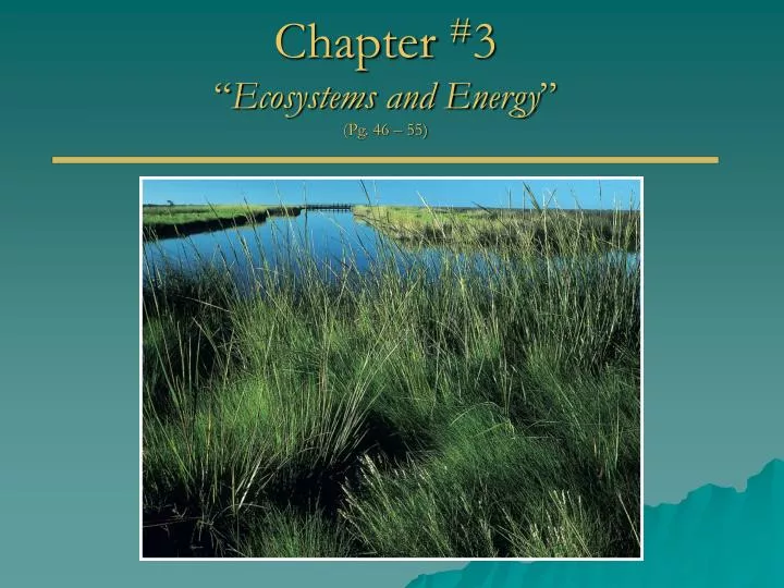 chapter 3 ecosystems and energy pg 46 55 n.