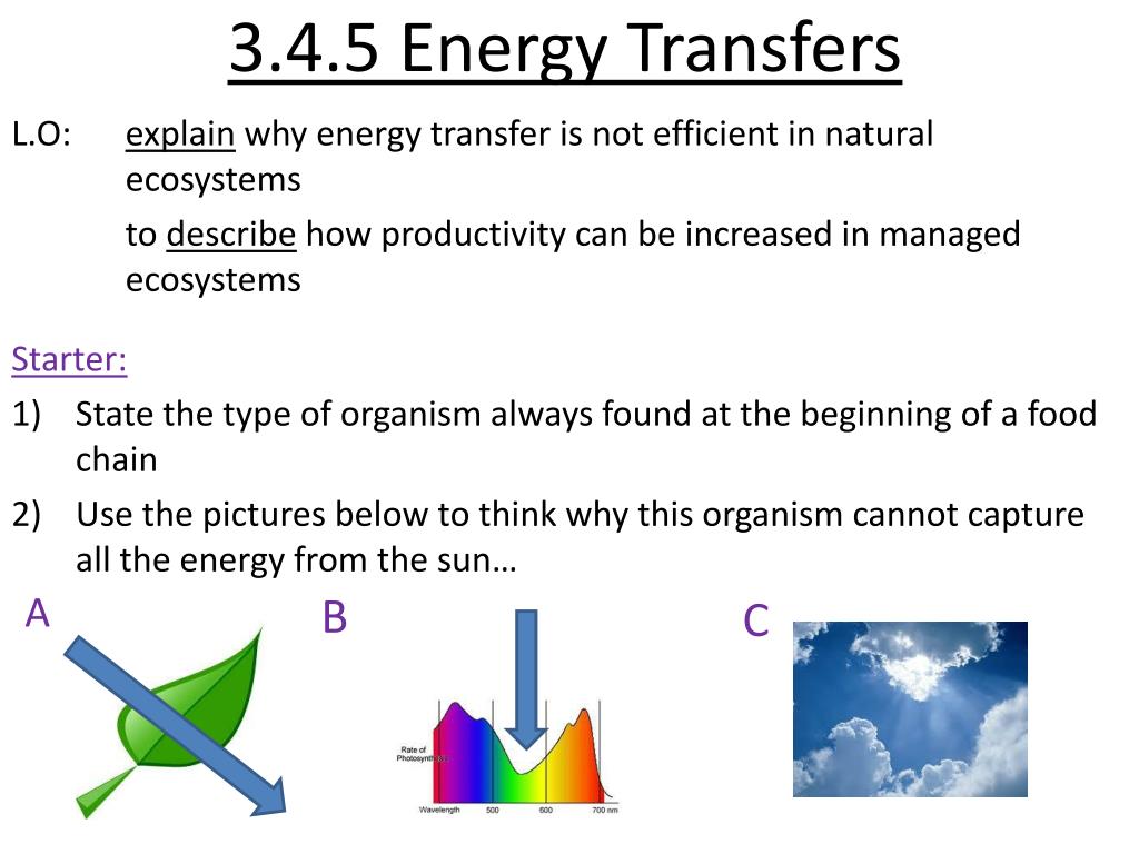 PPT 3.4.5 Energy Transfers PowerPoint Presentation, free download