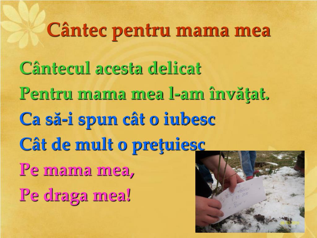 PPT - Cântec pentru mama mea PowerPoint Presentation, free download -  ID:6066700