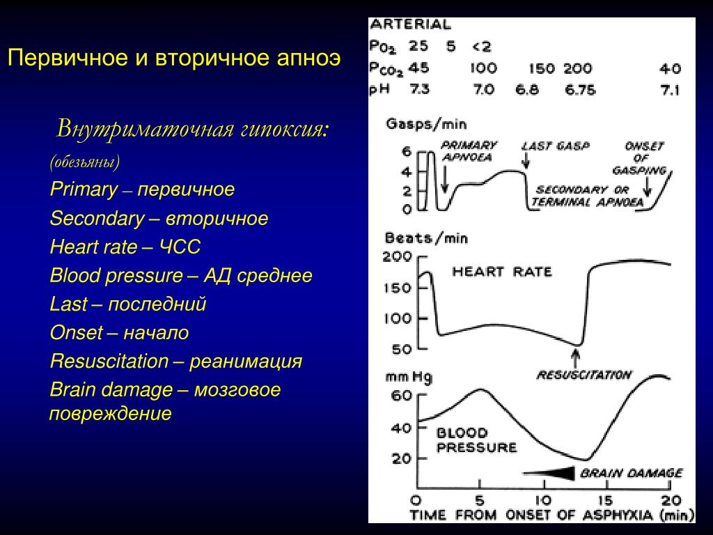 Апноэ у новорожденных. Первичное и вторичное апноэ. Первичное апноэ новорожденного. ЧСС при гипоксии.