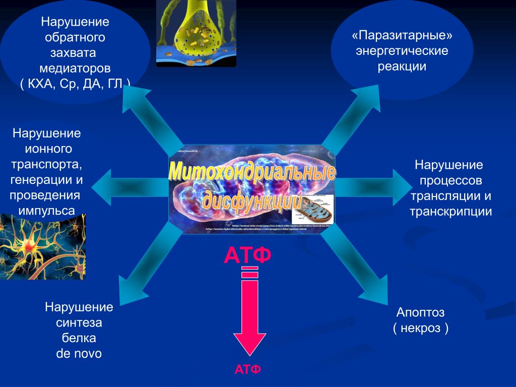 Какая реакция энергетически выгодна