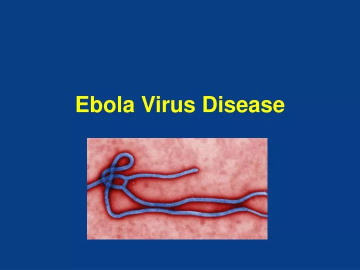 the deadly ebola hemorrhagic fever The deadly ebola virus has been (that's why responders in this outbreak are referring to ebola virus disease rather than ebola hemorrhagic fever. the deadly ebola hemorrhagic fever The deadly ebola virus has been (that's why responders in this outbreak are referring to ebola virus disease rather than ebola hemorrhagic fever.