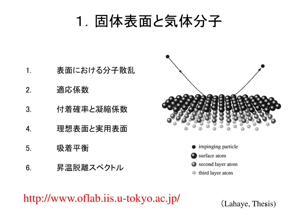 【セール】福袋/福箱ファッション通販 PPT - 1．固体表面と気体分子 PowerPoint Presentation, free その他