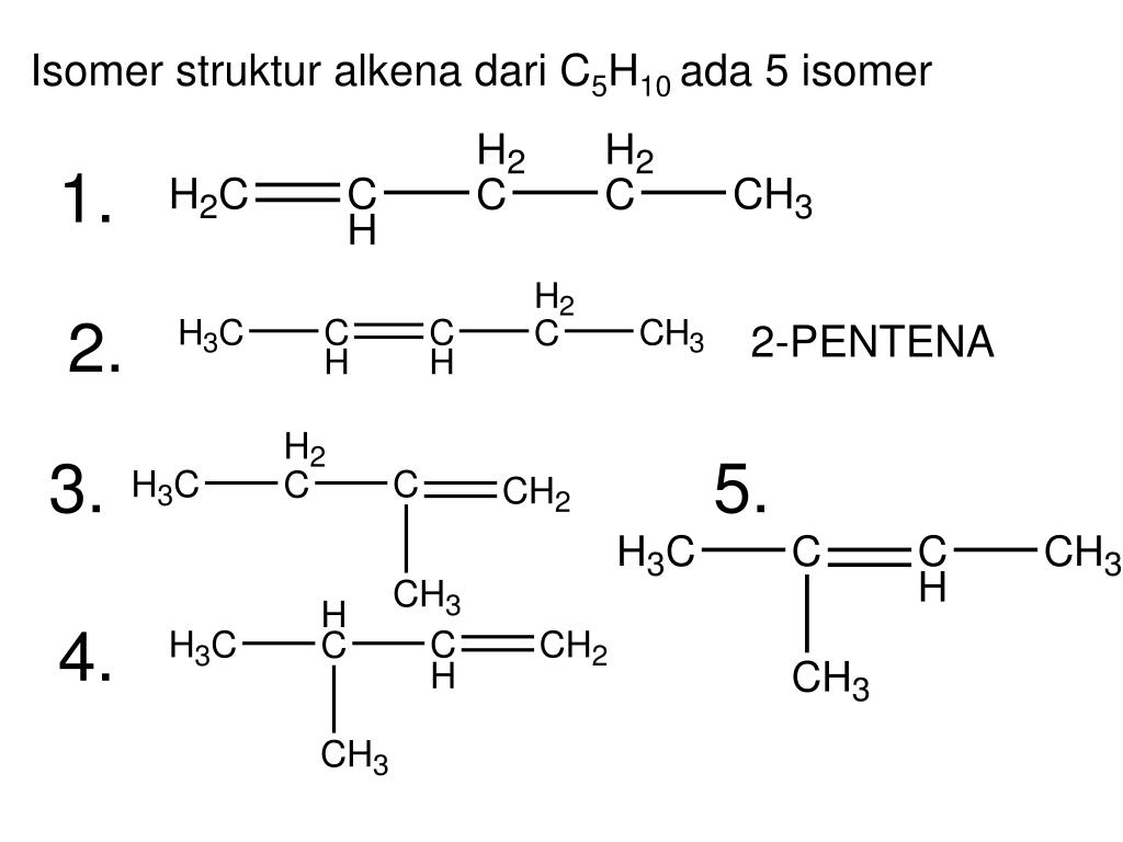 Isomer Dari C5H8.
