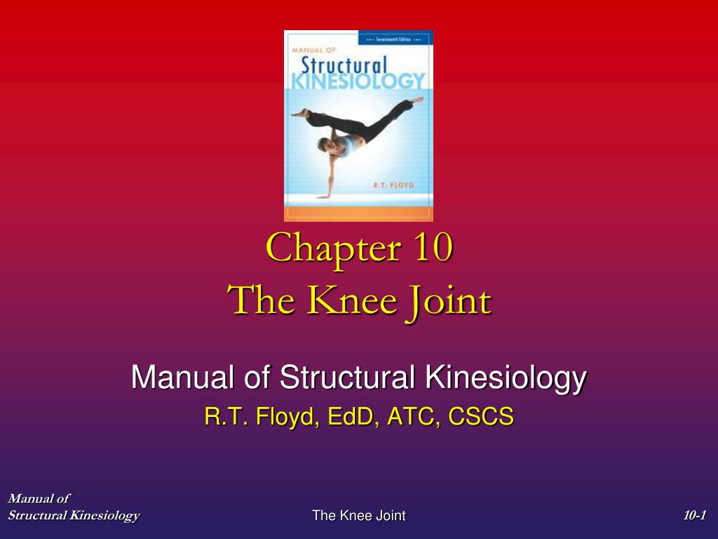 chapter 10 the knee joint n.