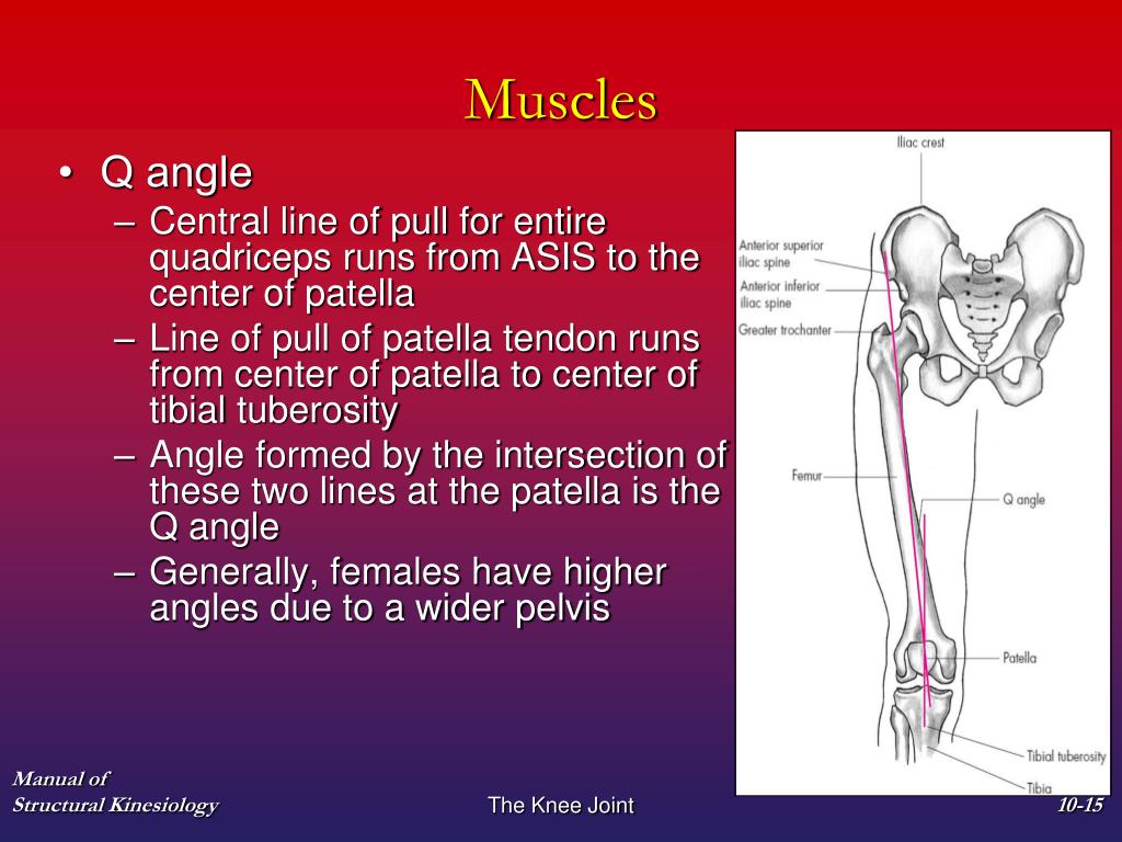 Угла q. Q Angle. Угол q. Q угол колена. Knee Joint structure.