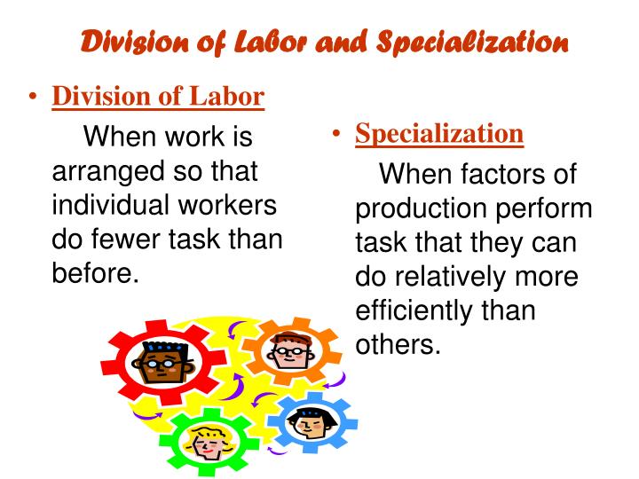 Job specialization and division of labour