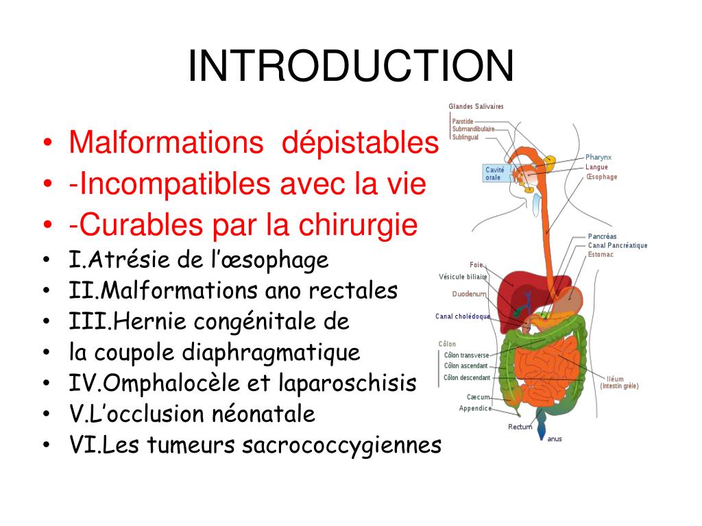 Quels sont les causes d’une anomalie congénitale