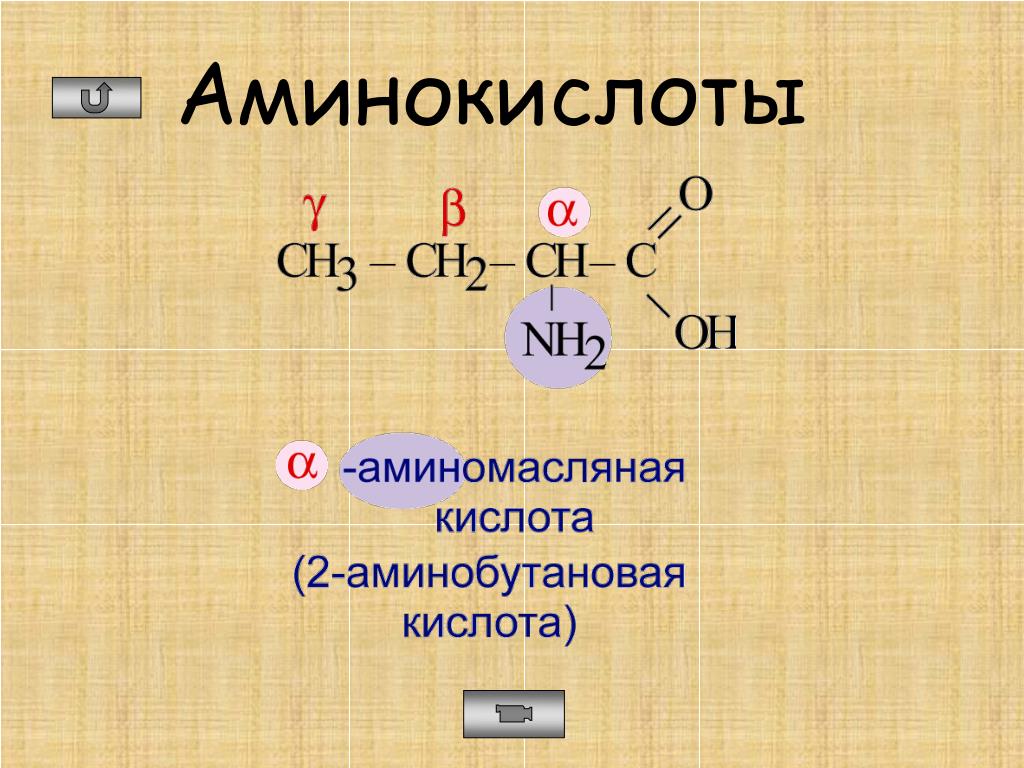 Амины презентация 10. Аминокислоты презентация 10 класс. Амины, аминокислоты презентация. Аминокислоты химия. Общее строение аминокислот.