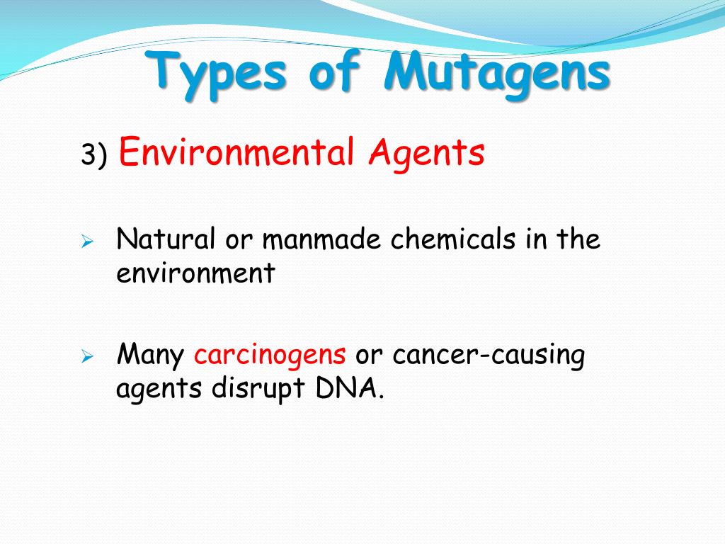 PPT DNA Mutations PowerPoint Presentation, free download ID6076867