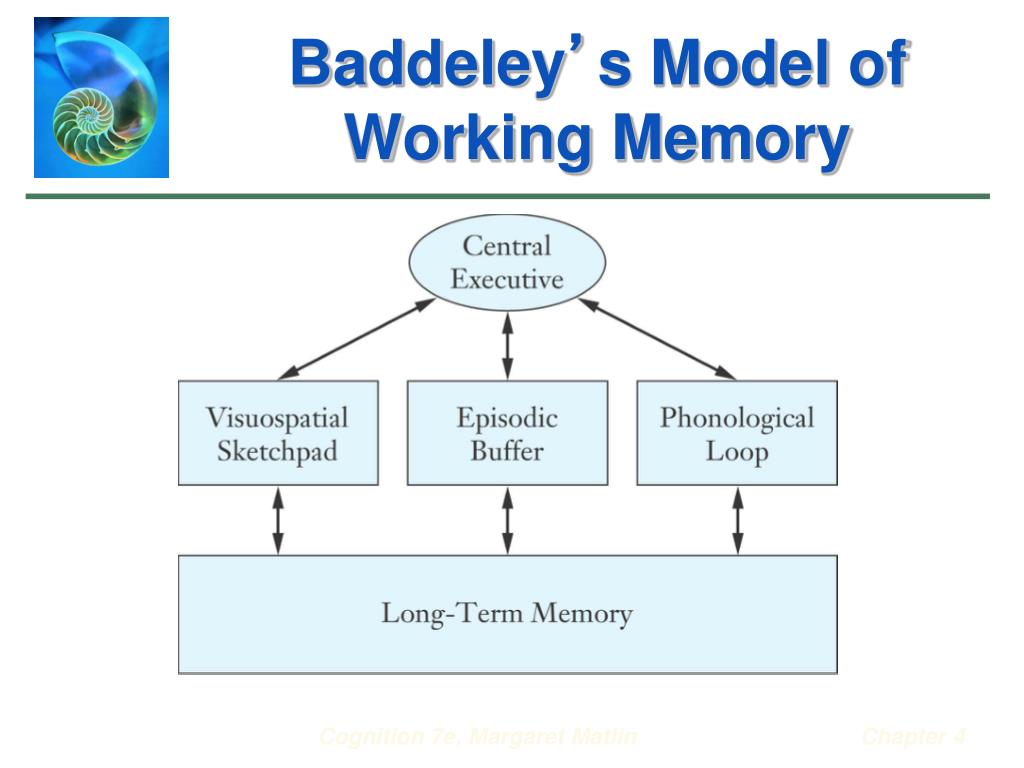 Бэддели ваша память. Бэддели память. Baddeley working Memory. Модель рабочей памяти. Модель рабочей памяти Баддели.