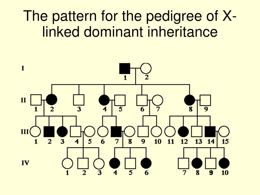 Ppt Sex Linked Inheritance Powerpoint Presentation Free Download