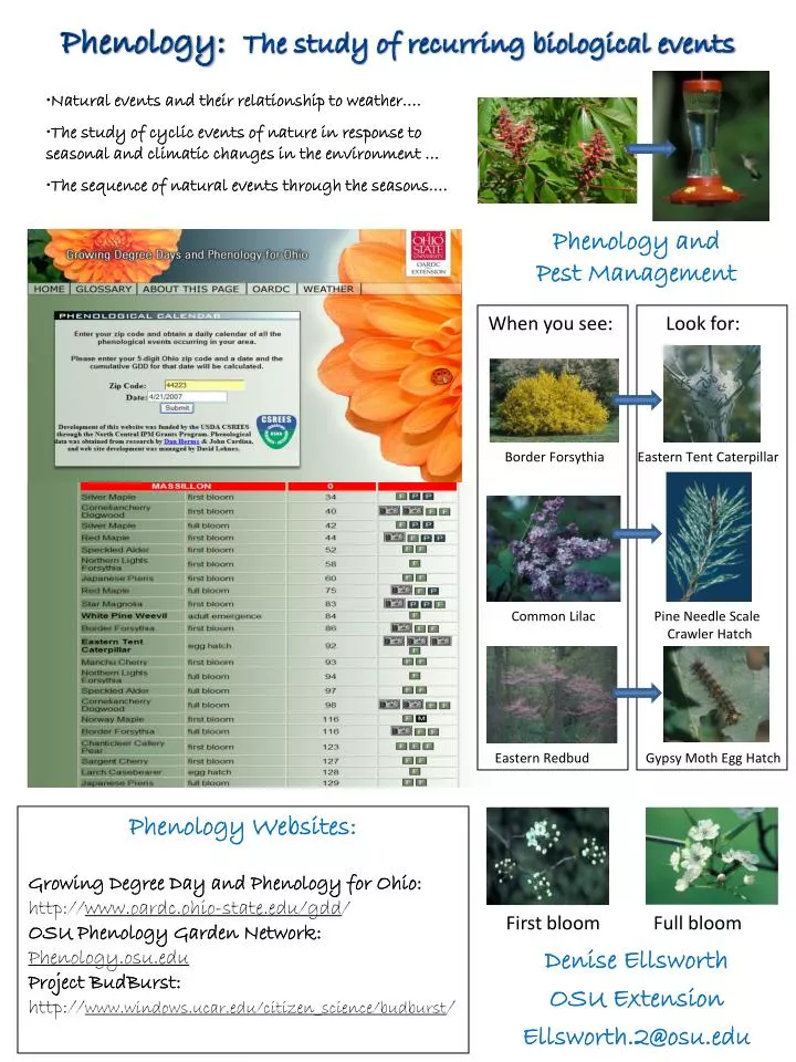 PPT Phenology The study of recurring biological events PowerPoint Presentation ID6079227