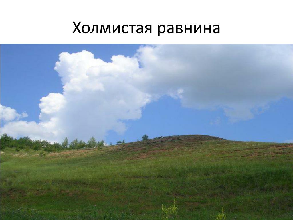 Рисунок Равнины Нашего Края