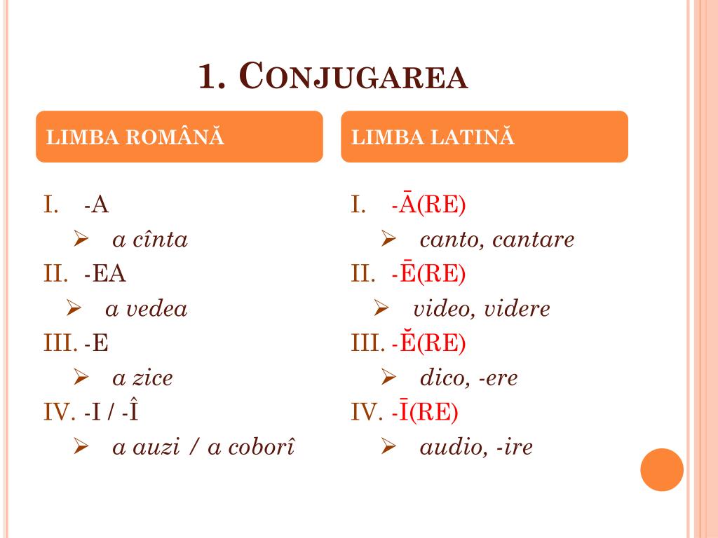 PPT - Categoriile gramaticale ale verbului; recunoaşterea unui verb în  textul latin. PowerPoint Presentation - ID:6080194