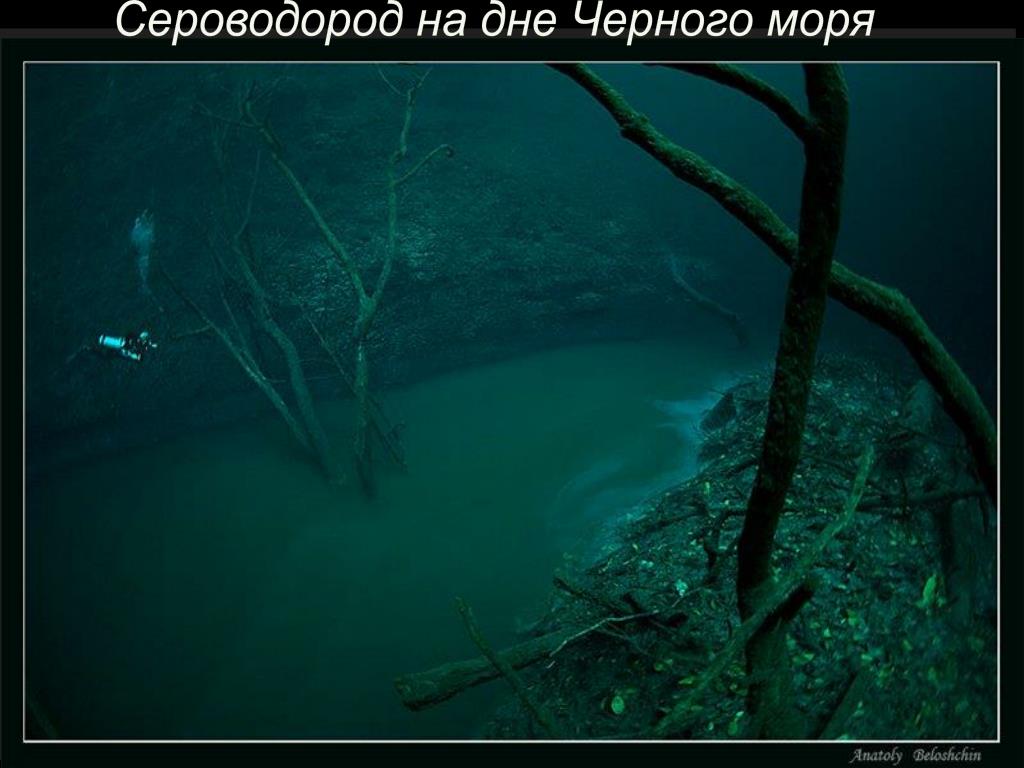 Сероводород в озерах. Сероводород на дне черного моря. Чёрное море сероводородный слой. Дно черного моря сероводород. Черное море сероводород на глубине.