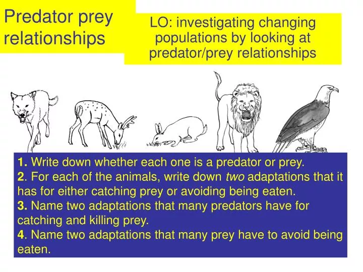 why are predator and prey relationships important