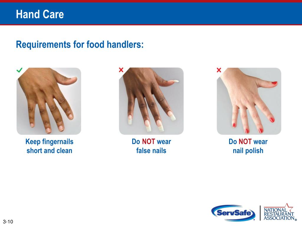 PPT The Safe Food Handler PowerPoint Presentation, free download ID6082135