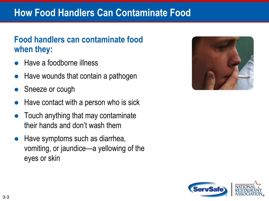 PPT The Safe Food Handler PowerPoint Presentation, free download ID