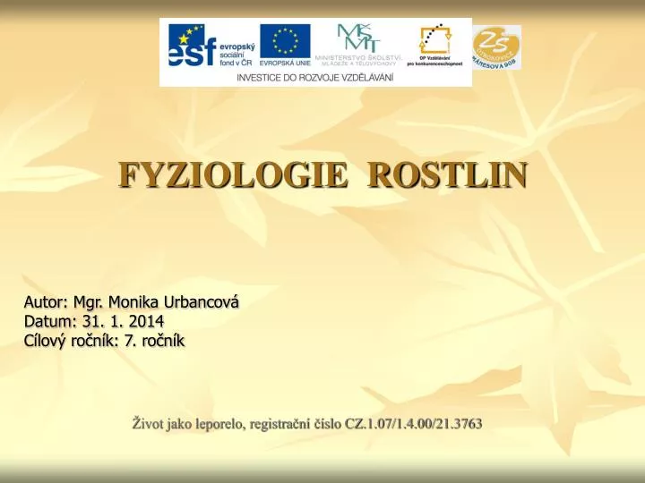 online datování chat do řádků