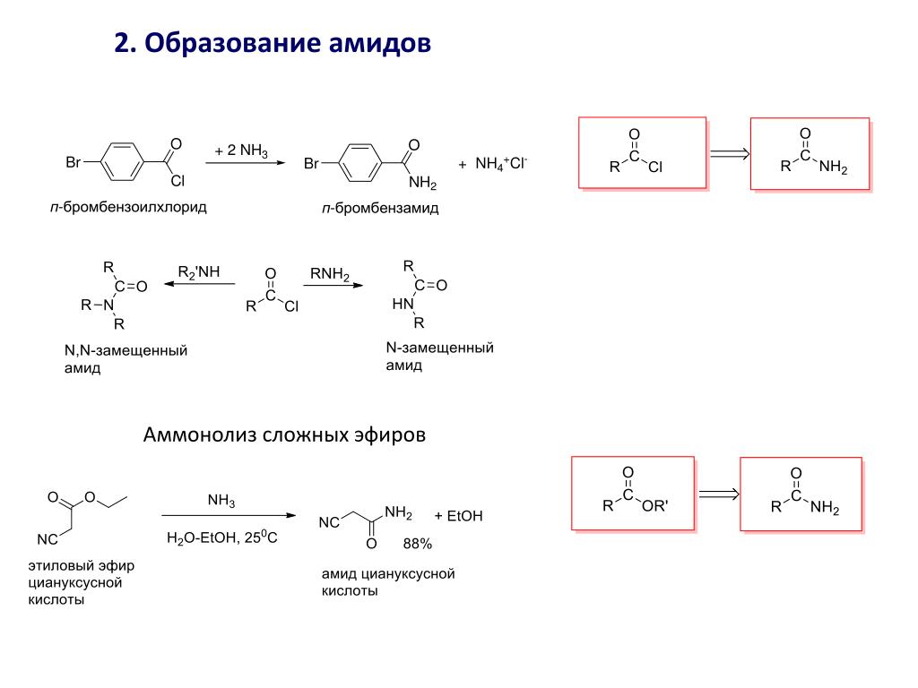Получение эфиров карбоновых кислот. Аммонолиз сложных эфиров. Образование амидов карбоновых кислот. Сложный эфир + nh2-nh2. Образование амидов карбоновых кислот механизм.