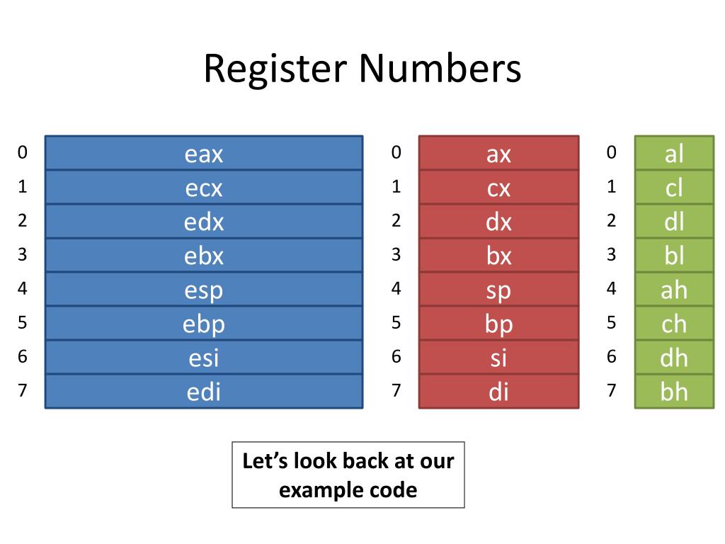 PPT - COMP 2003: Assembly Language and Digital Logic PowerPoint ...