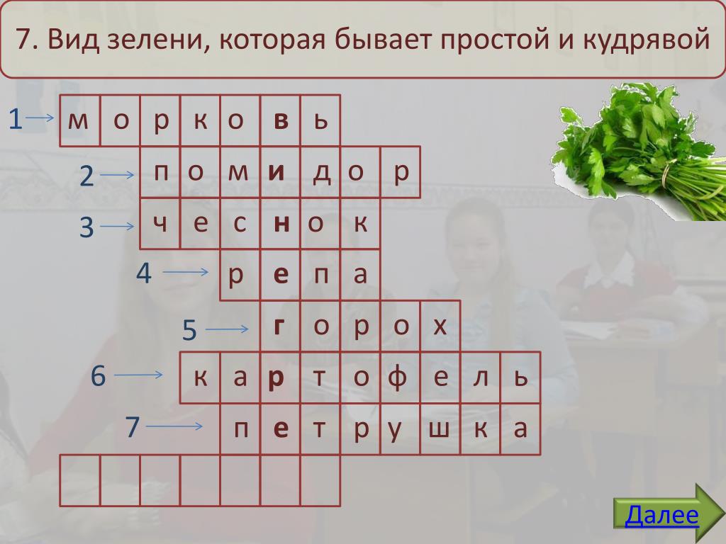 Бывай 5 букв сканворд. Вид зелени которая бывает простой и кудрявой. Вид зелени который бывает кудрявый. Презентация кроссворд овощные культуры. Кроссворд овощи.