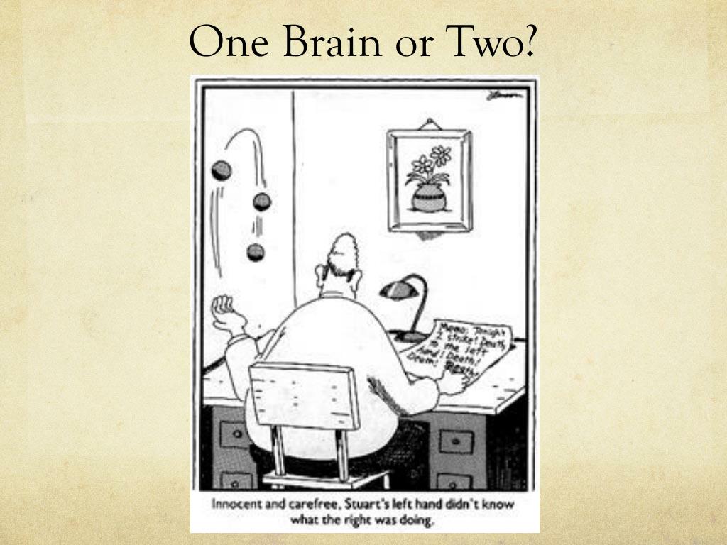 1 brain for 2. One Brain or two. One Brain. Газзанига расщепленный мозг.