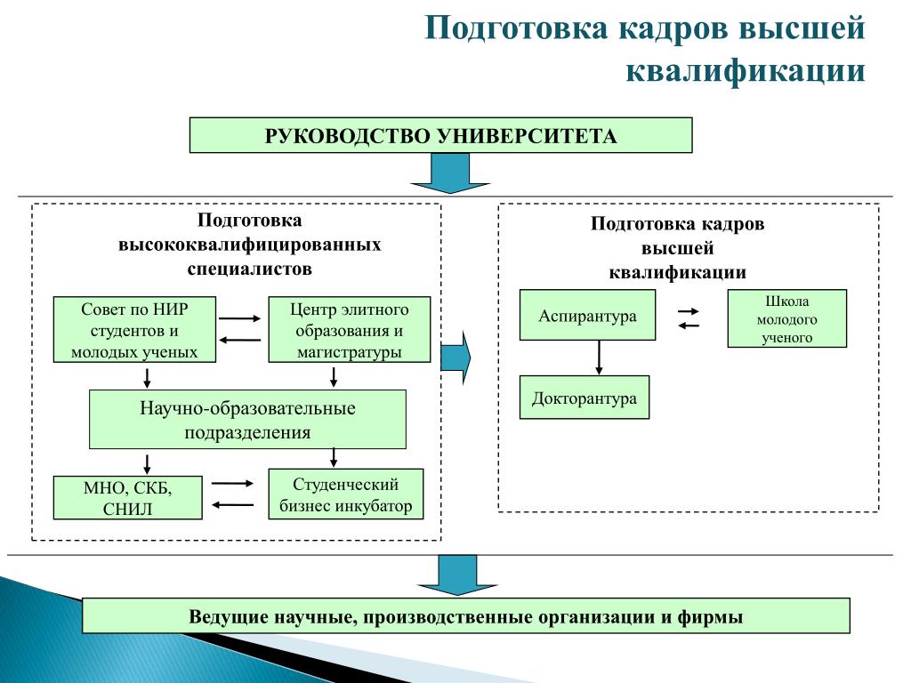 Проблема подготовка кадров. Подготовка кадров высшей квалификации. Подготовка кадров квалификация. Высшее образование подготовка кадров высшей квалификации. Программа подготовки кадров высшей квалификации.