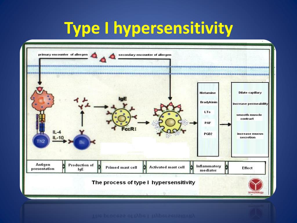 Ppt Patch Test By Heshaghi Md Powerpoint Presentation Free