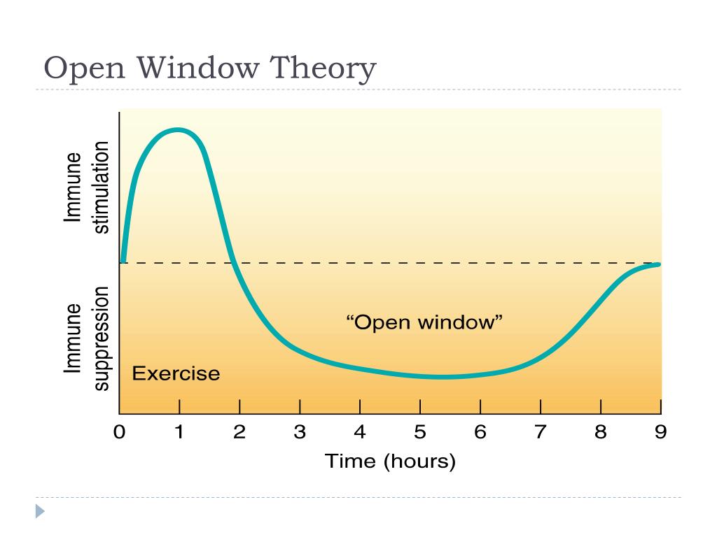 define the open window hypothesis