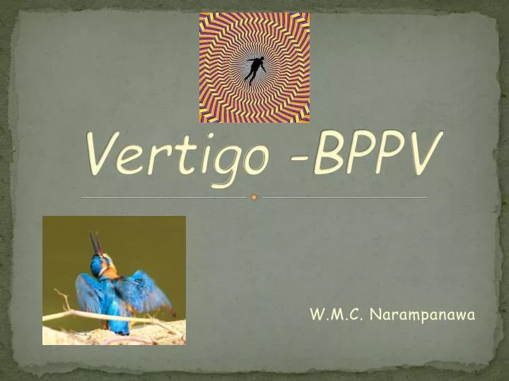 PPT Vertigo BPPV PowerPoint Presentation Free Download ID 6091739