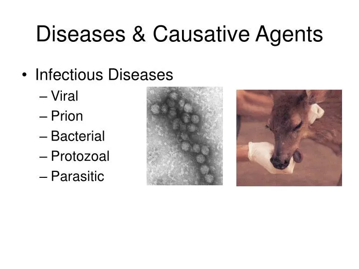 PPT - Diseases & Causative Agents PowerPoint Presentation, free download -  ID:6093381