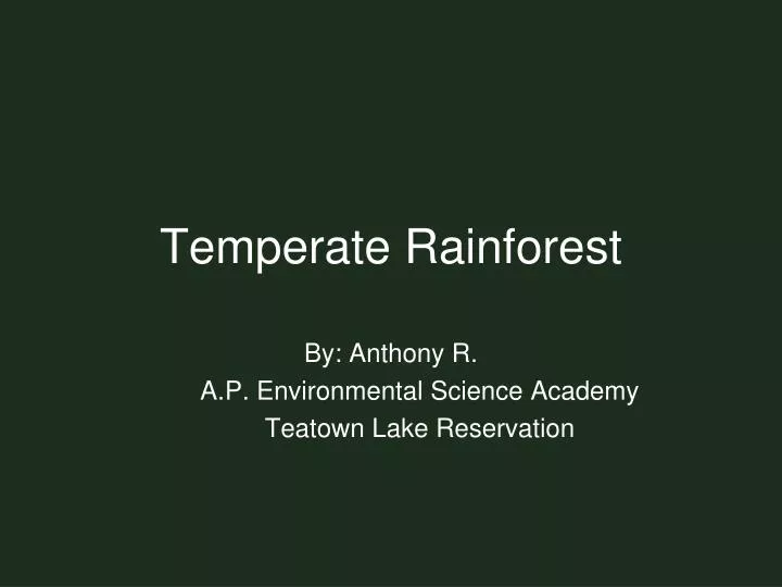 temperate rainforest n.