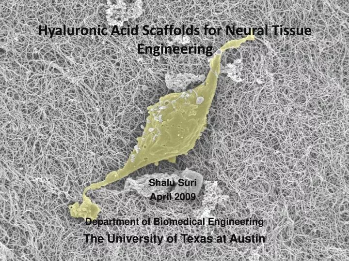 biomedical engineering tissue engineering scaffold biomedical engineering tissue engineering scaffold