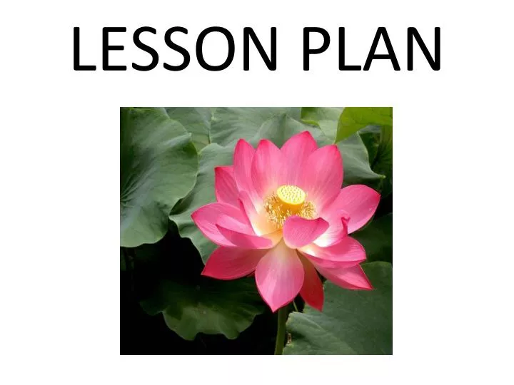 lesson plan n.