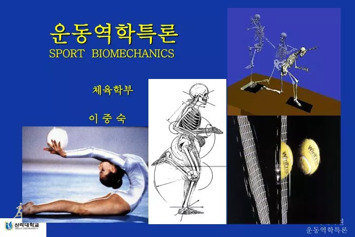 PPT - 운동역학특론 SPORT BIOMECHANICS PowerPoint Presentation, free download ...