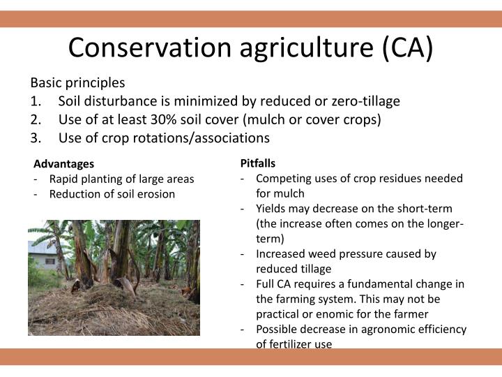 soil fertility ppt powerpoint presentation