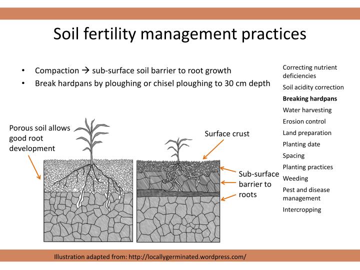 PPT - Soil & Soil Fertility PowerPoint Presentation - ID:6095416