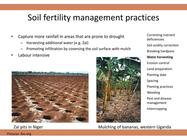 PPT Soil & soil fertility PowerPoint Presentation ID6095416