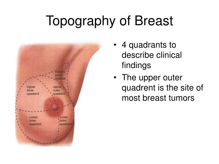 upper outer quadrant of the right breast Hope marie rizzitano nude