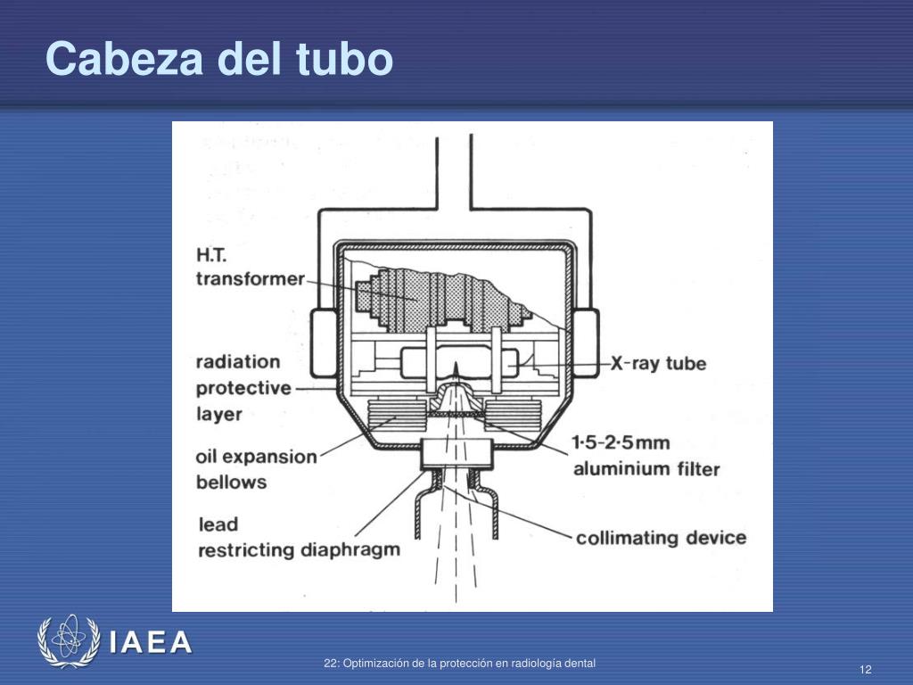 PPT - PROTECCIÓN RADIOLÓGICA EN RADIODIAGNÓSTICO Y EN RADIOLOGÍA