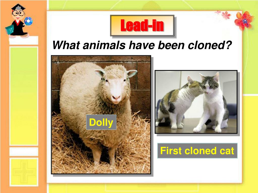 PPT - What animals have been cloned? PowerPoint Presentation, free download  - ID:6097092