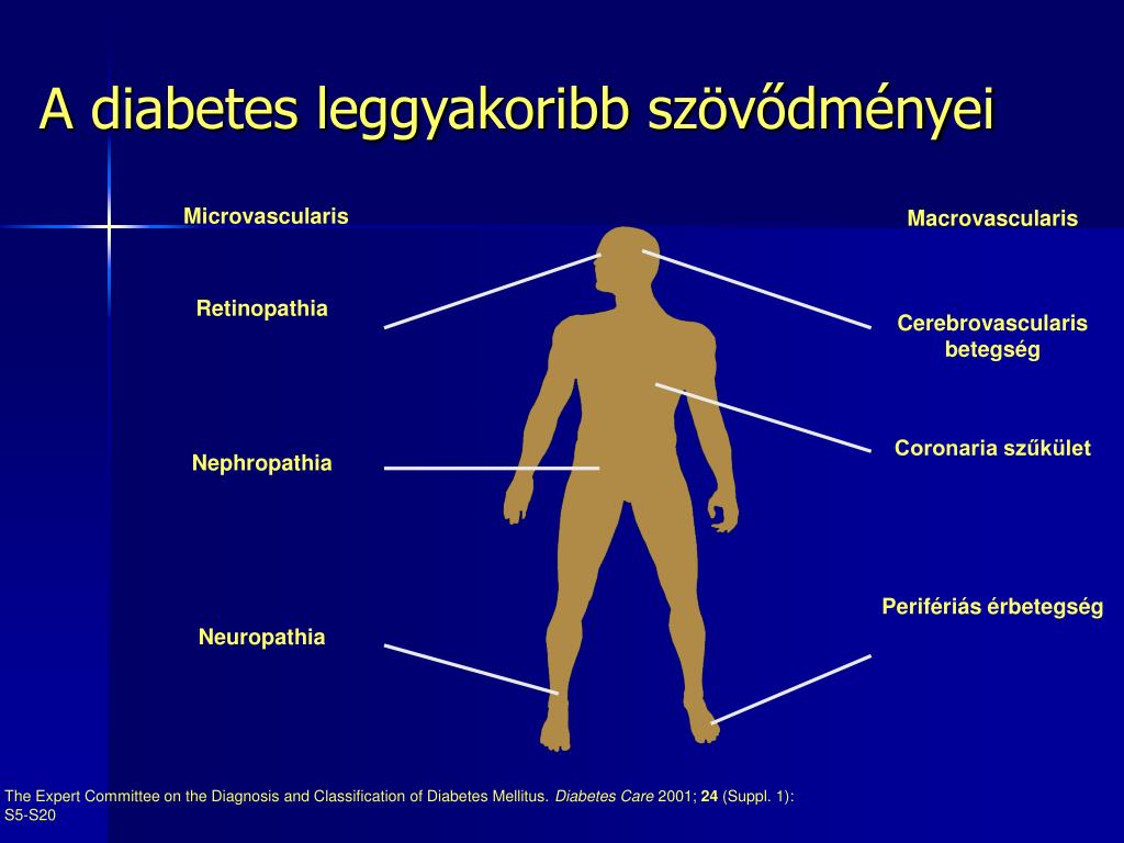 alapelvek 1. típusú diabetes mellitus)