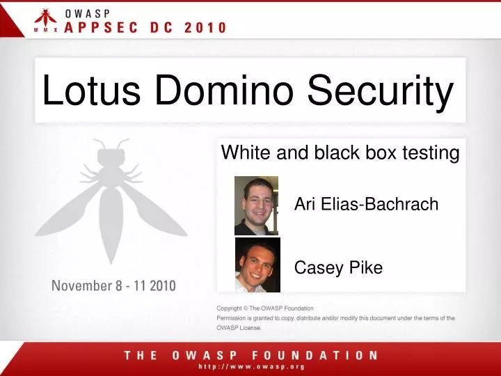 lotus domino security n.